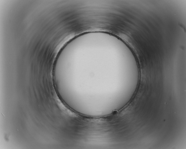 X0000103301189200809122023