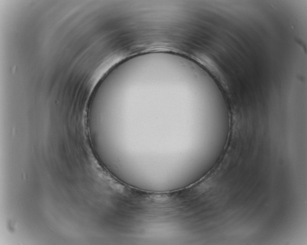 X0000103301190200809122023