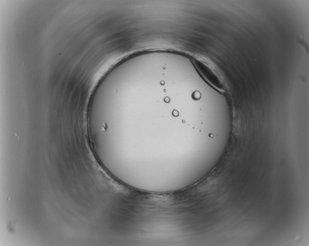 X0000103301191200809122023