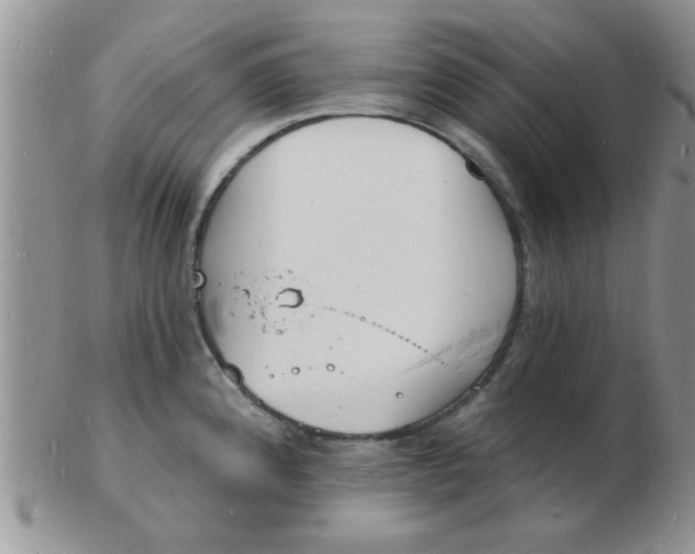 X0000103301192200809122023