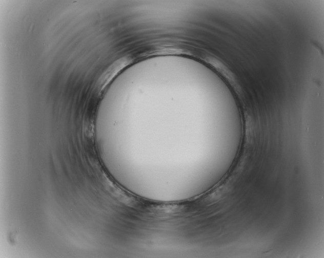 X0000103301193200809122023