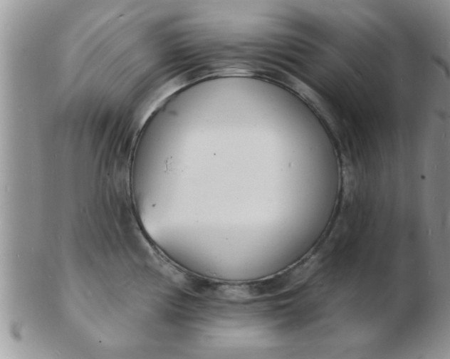 X0000103301194200809122023