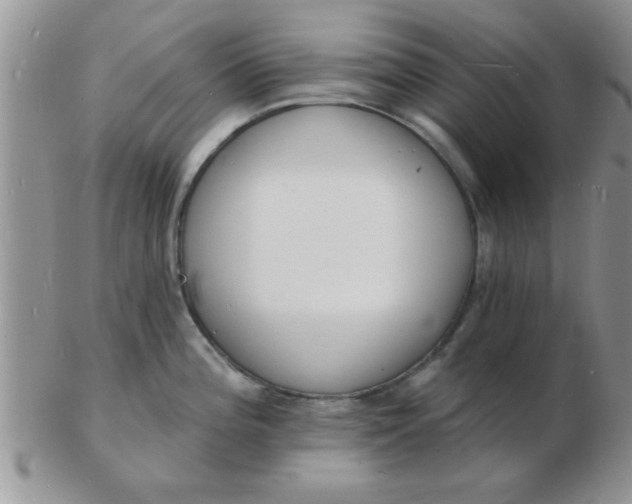 X0000103301196200809122023