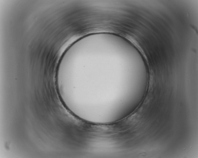 X0000103301197200809122023