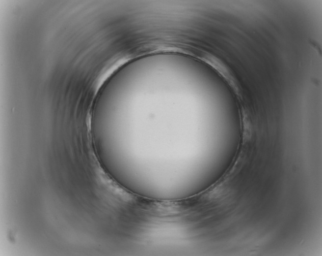 X0000103301198200809122023