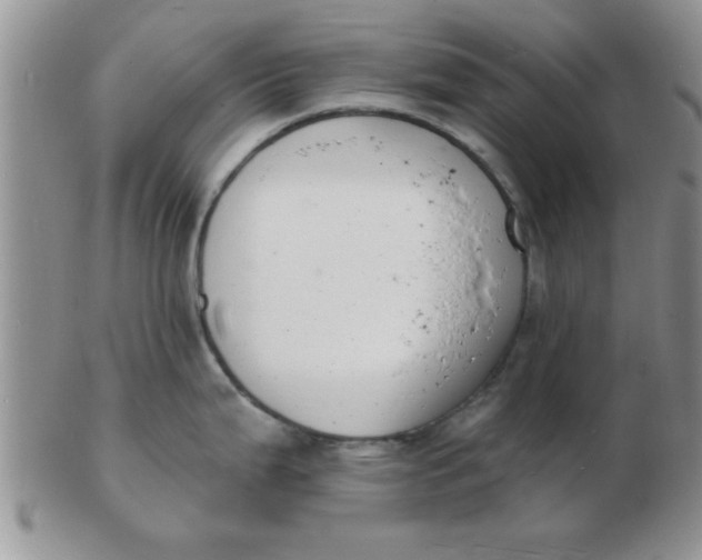 X0000103301199200809122023