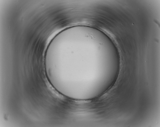 X0000103301200200809122023