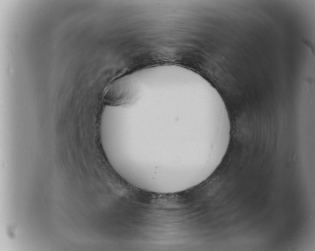 X0000103301201200809122022