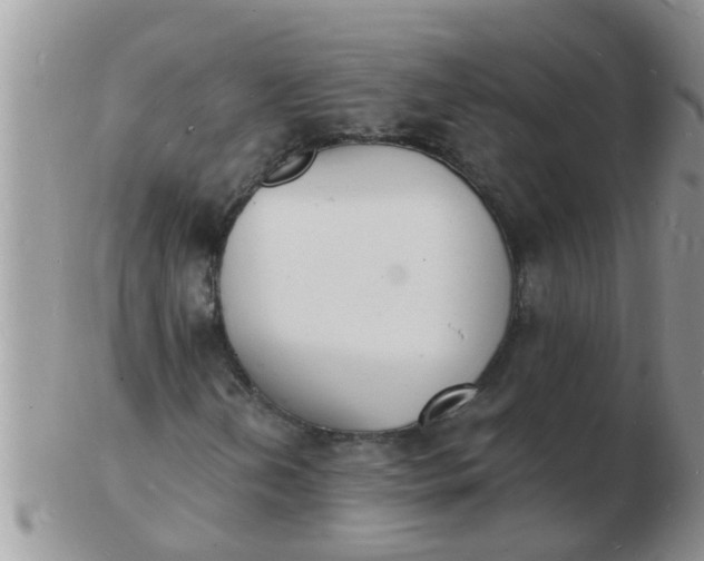 X0000103301202200809122022