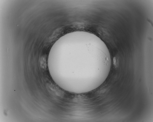 X0000103301203200809122022