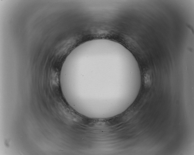 X0000103301204200809122022