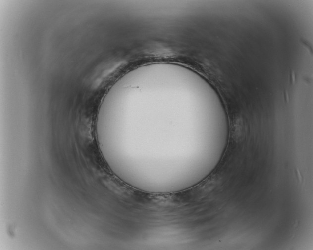 X0000103301205200809122022