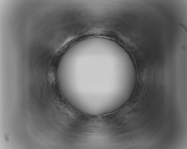 X0000103301206200809122022