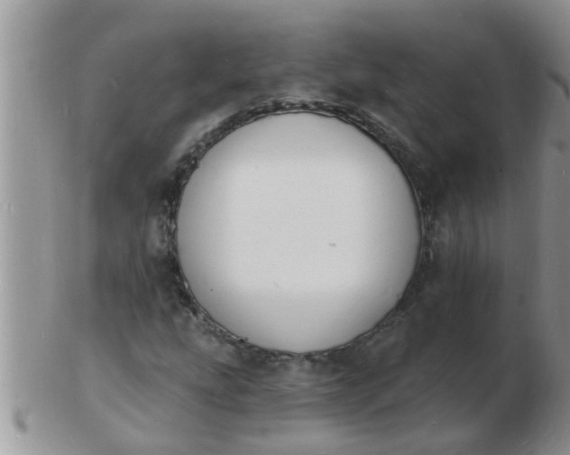 X0000103301207200809122022