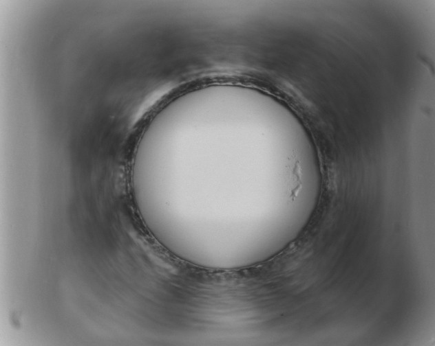 X0000103301208200809122022