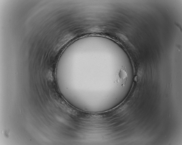 X0000103301209200809122022