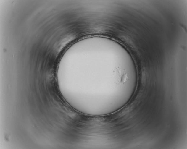 X0000103301210200809122022