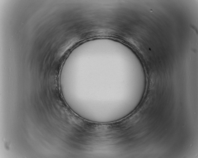 X0000103301211200809122022