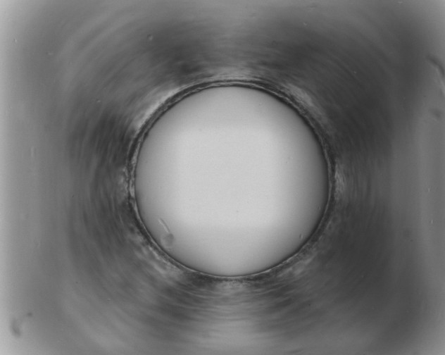 X0000103301212200809122022