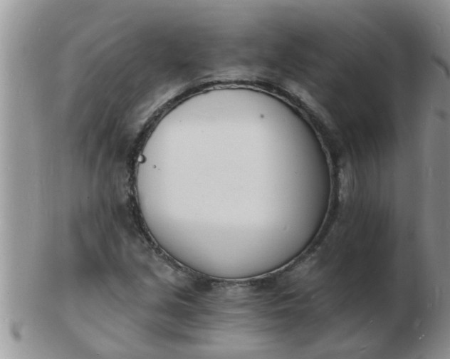 X0000103301213200809122022