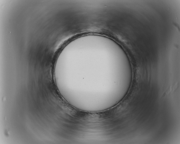 X0000103301214200809122022