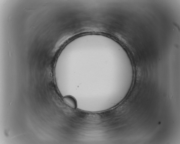 X0000103301215200809122022