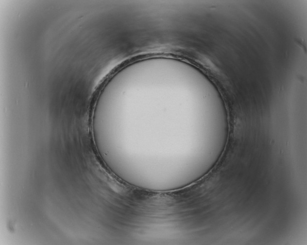 X0000103301216200809122022