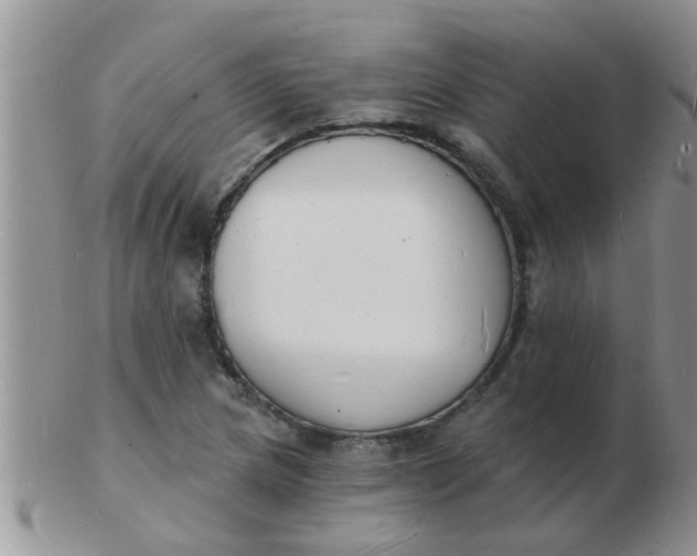 X0000103301217200809122022