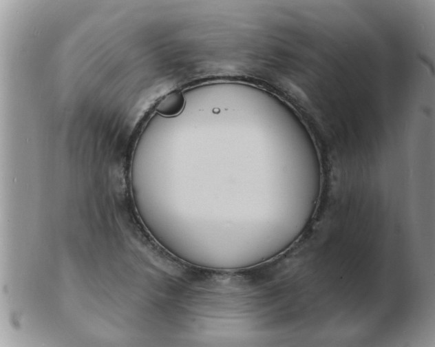 X0000103301218200809122022