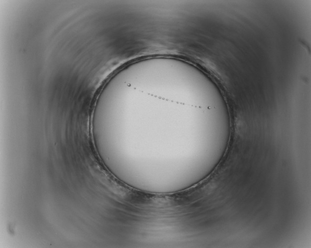 X0000103301220200809122022