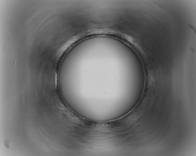 X0000103301221200809122022