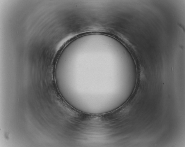 X0000103301222200809122022