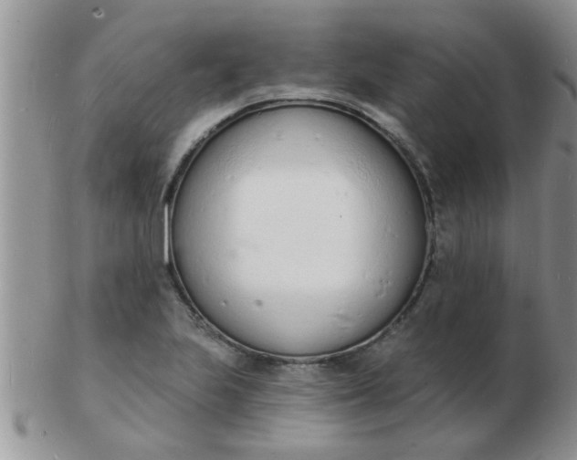 X0000103301223200809122022