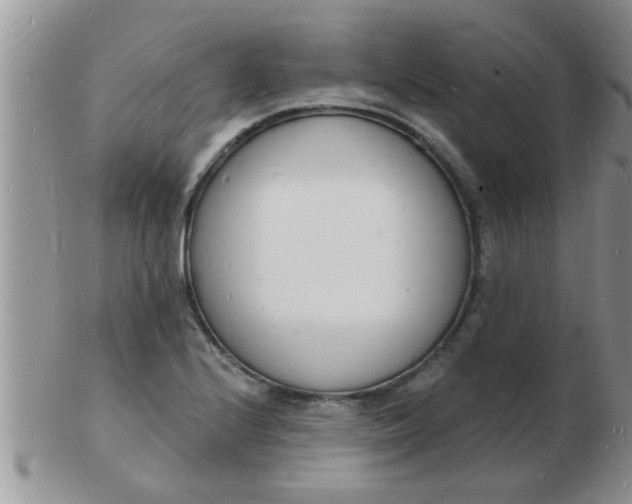 X0000103301224200809122022