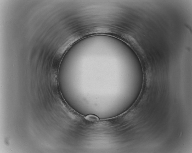 X0000103301225200809122022