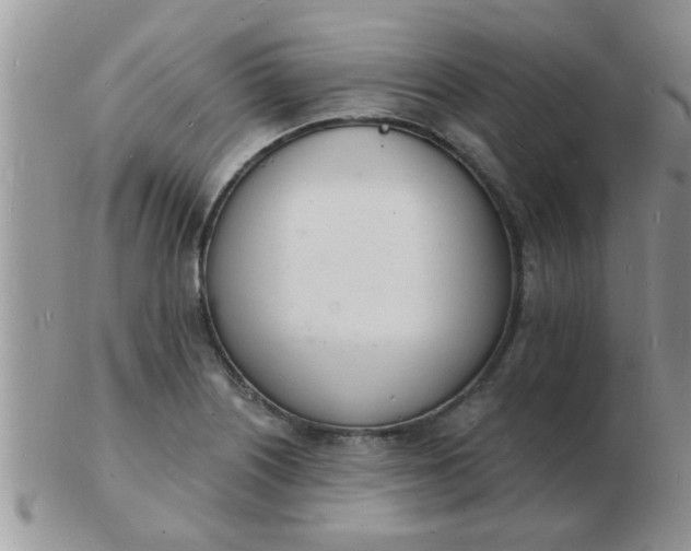 X0000103301226200809122022