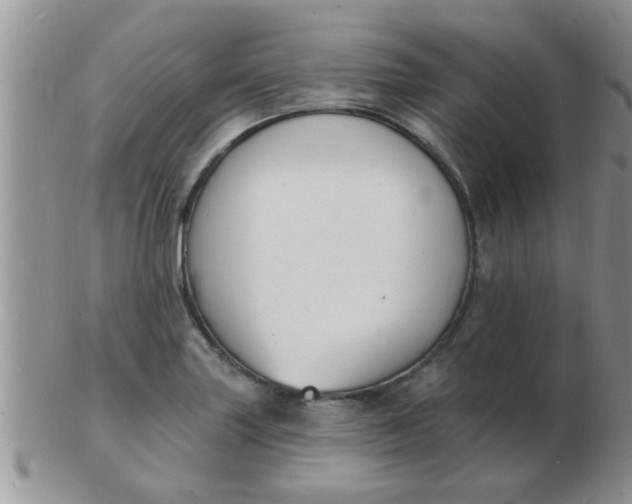 X0000103301227200809122022