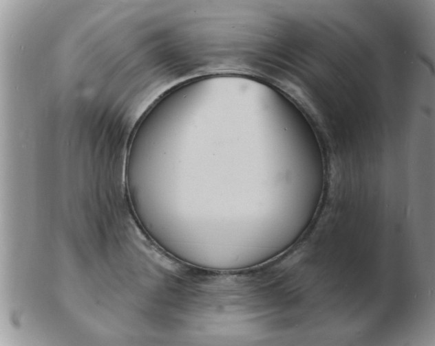 X0000103301228200809122022