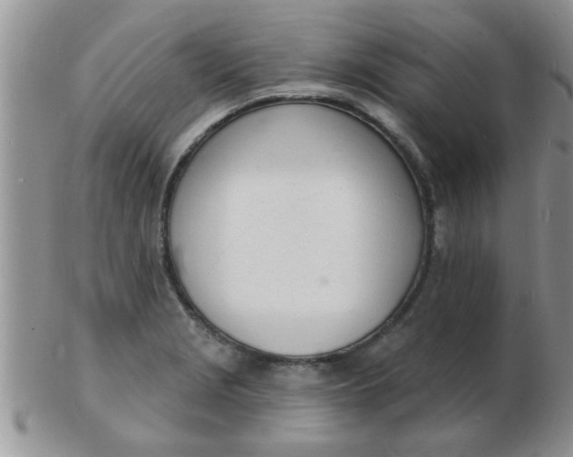 X0000103301229200809122022