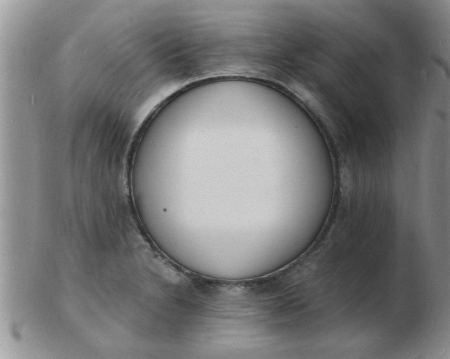 X0000103301230200809122022