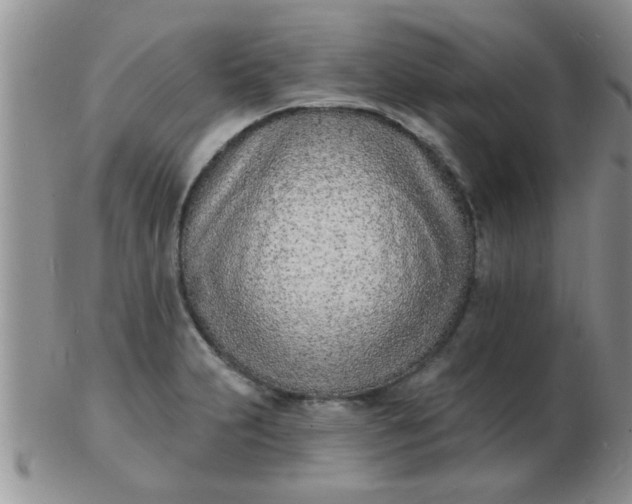 X0000103301231200809122022