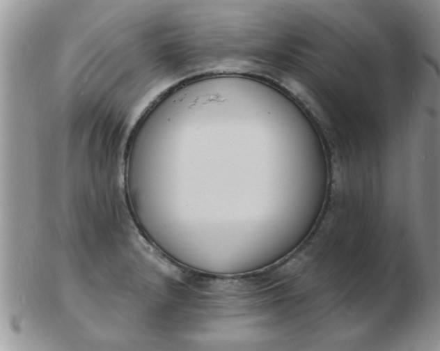 X0000103301232200809122022