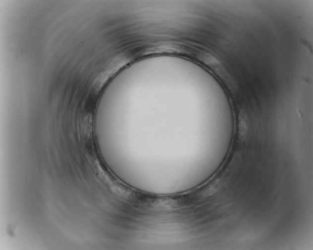 X0000103301233200809122022