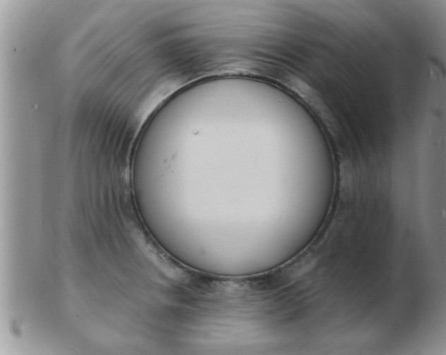 X0000103301234200809122022