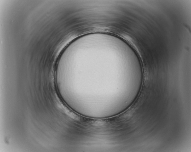 X0000103301235200809122022