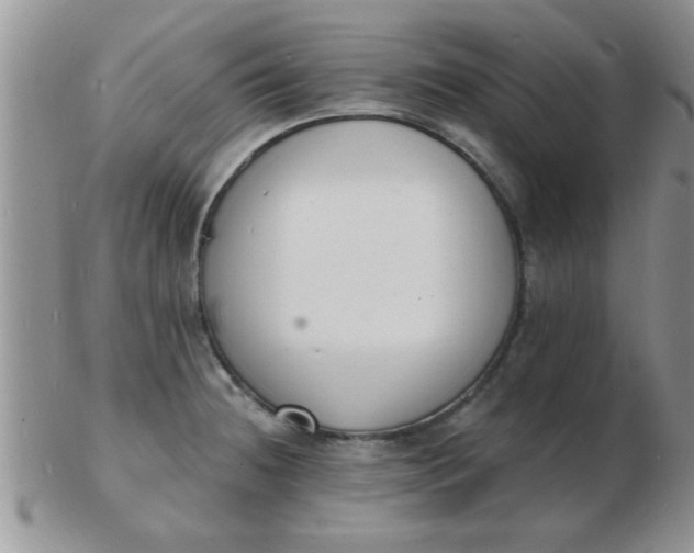 X0000103301236200809122022