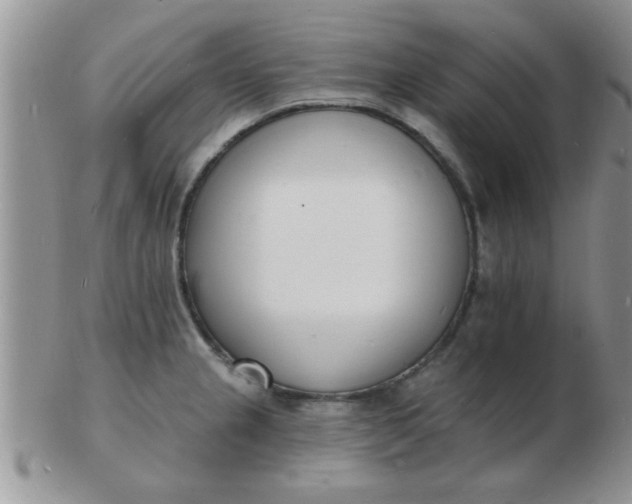 X0000103301237200809122022