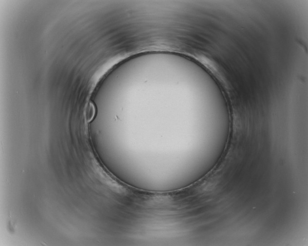 X0000103301238200809122022