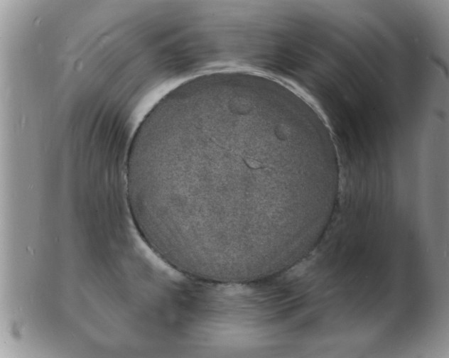 X0000103301239200809122022