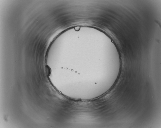 X0000103301240200809122023